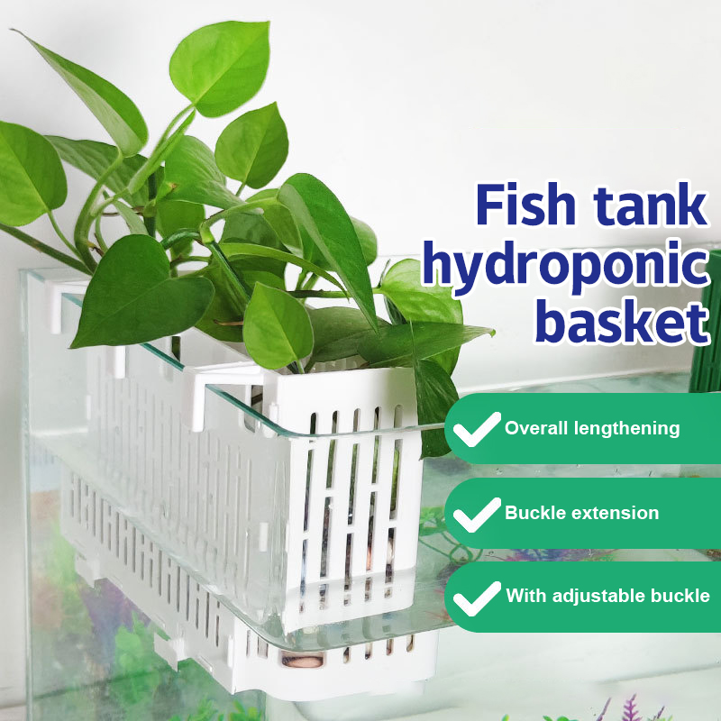 Aquarium Plant Holder - 【F】Wiszący pojemnik do akwarium, uchwyt na