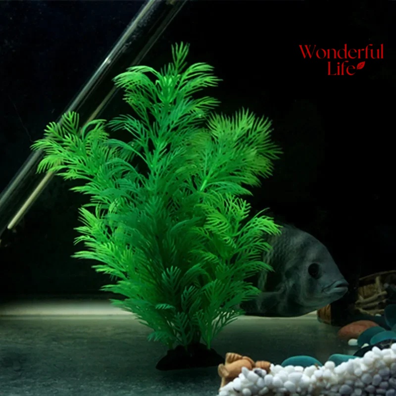 Rośliny wodne plastikowe do ak – Live Plant Aquarium recenzja i cena