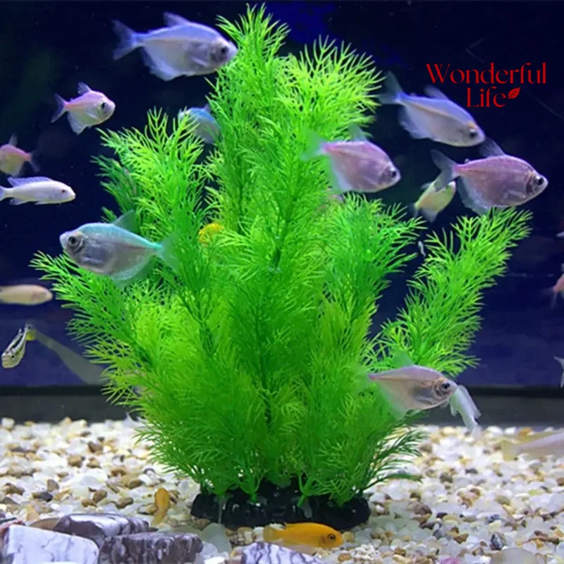 Rośliny wodne plastikowe do ak – Live Plant Aquarium recenzja i cena