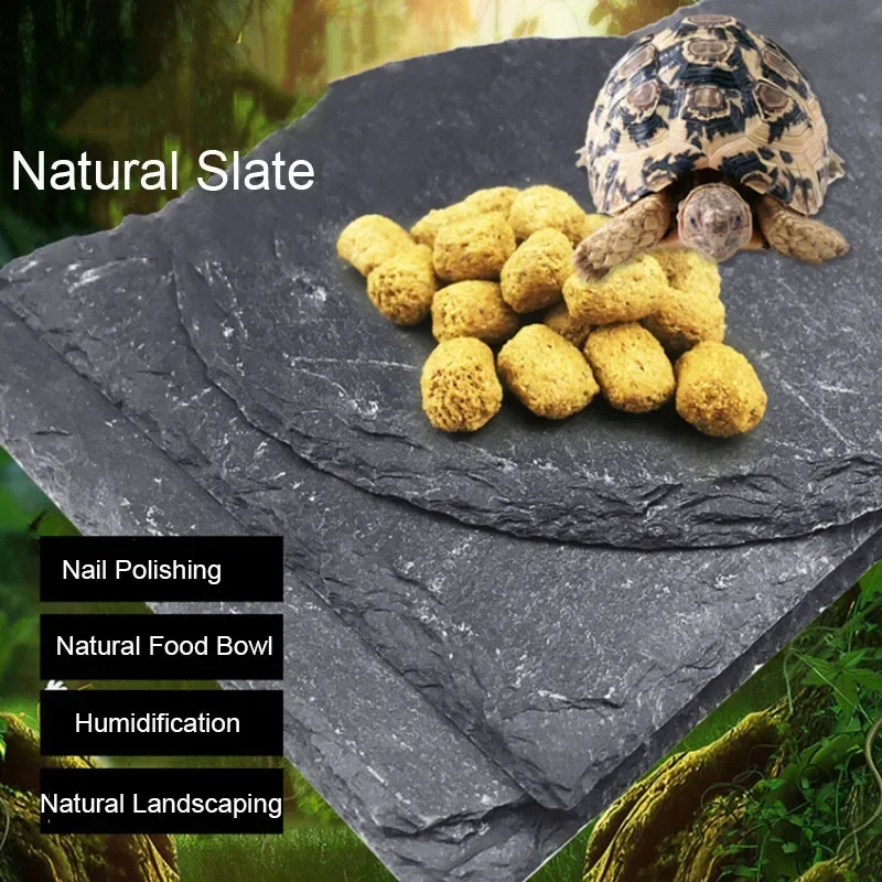 Naturalny łupek do akwarium dl – Aquarium Driftwood recenzja i cena