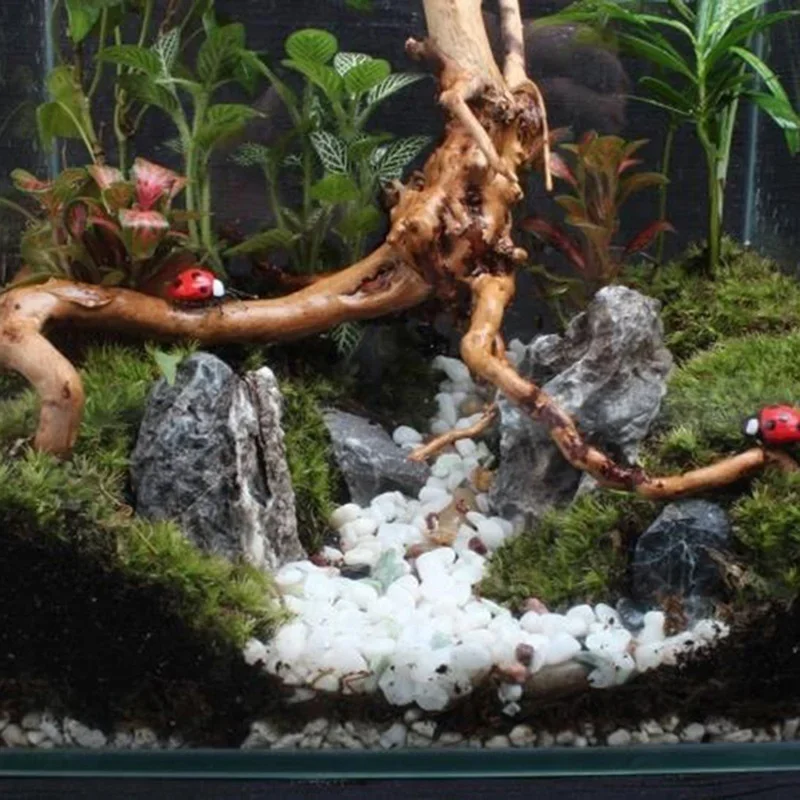 Naturalne drzewo pnia Driftwoo – Aquarium Driftwood recenzja i cena