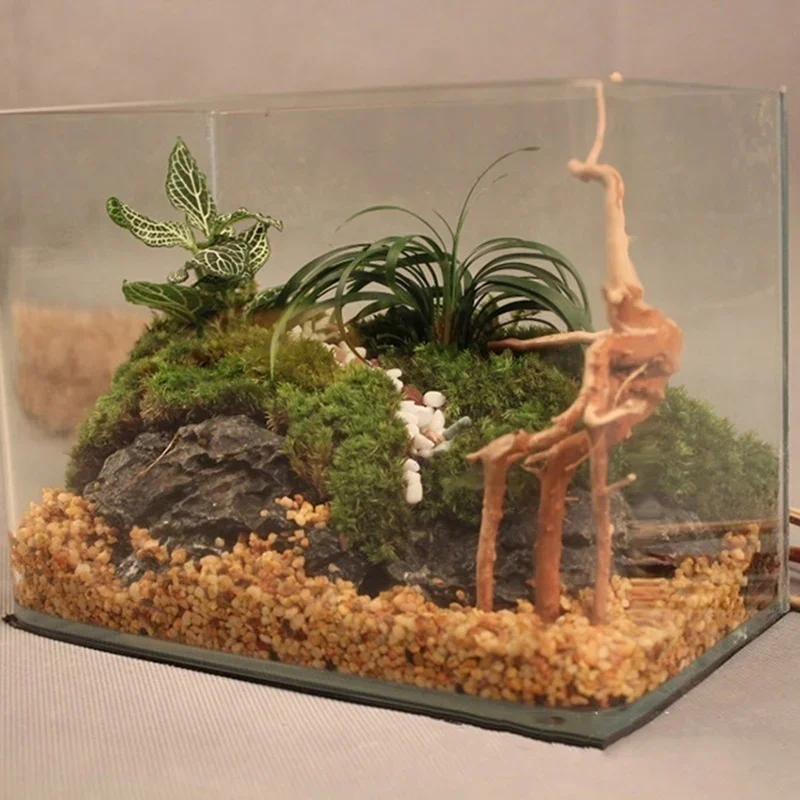 Naturalne drzewo pnia Driftwoo – Aquarium Driftwood recenzja i cena
