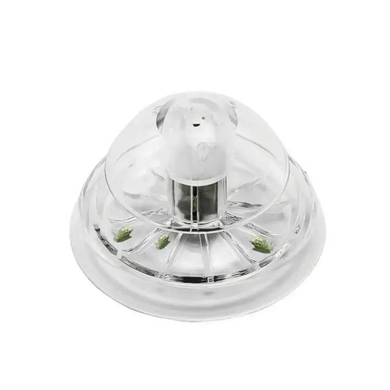 2026 Nowa przezroczysta plasti – Planted Aquarium Cleaning recenzja i cena