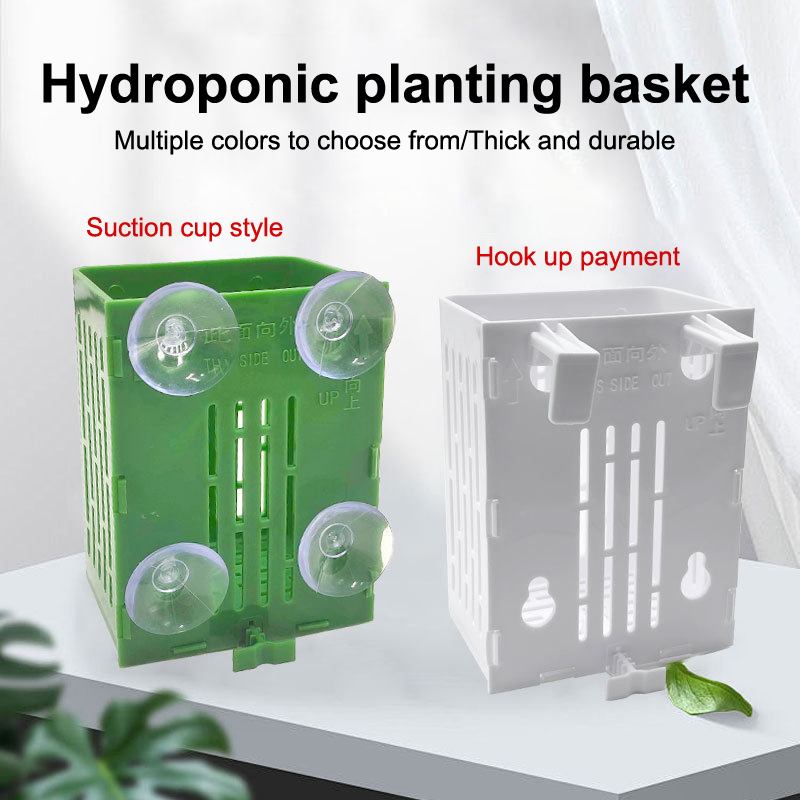 Wisząca przyssawka Hak Uchwyt  – Aquarium Plant Holder recenzja i cena