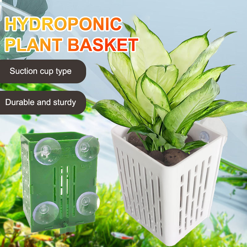 Wisząca przyssawka Hak Uchwyt  – Aquarium Plant Holder recenzja i cena