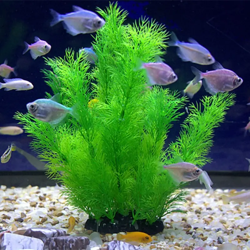 Sztuczne rośliny akwariowe Pod – Aquarium Plants Live recenzja i cena