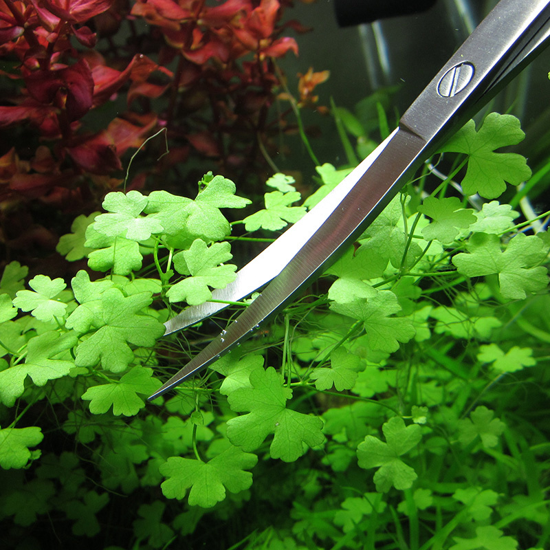 Akcesoria do akwarium Twarde n – Planted Aquarium Cleaning recenzja i cena
