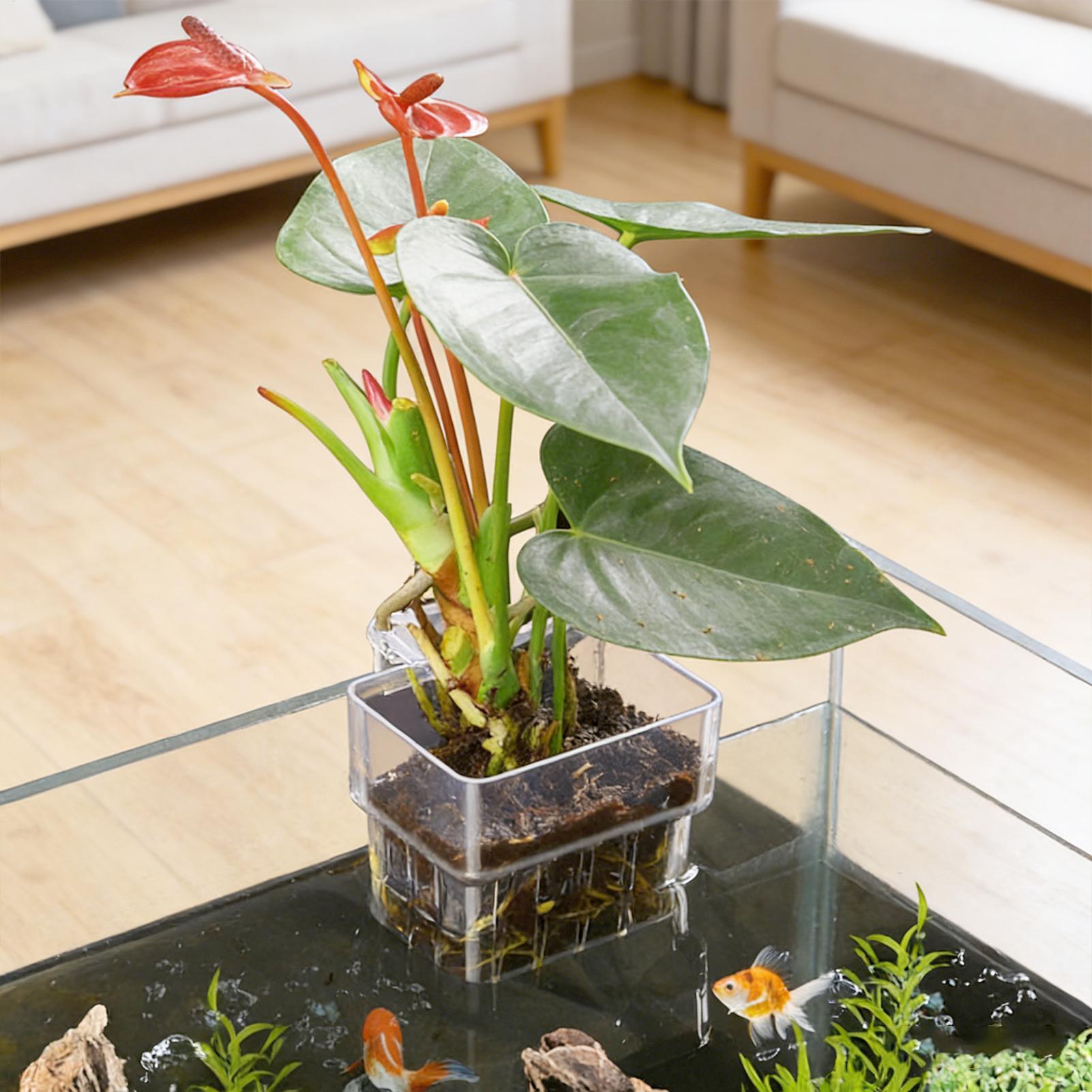Kosz na rośliny akwariowe Prze – Plant Aquarium Pot recenzja i cena