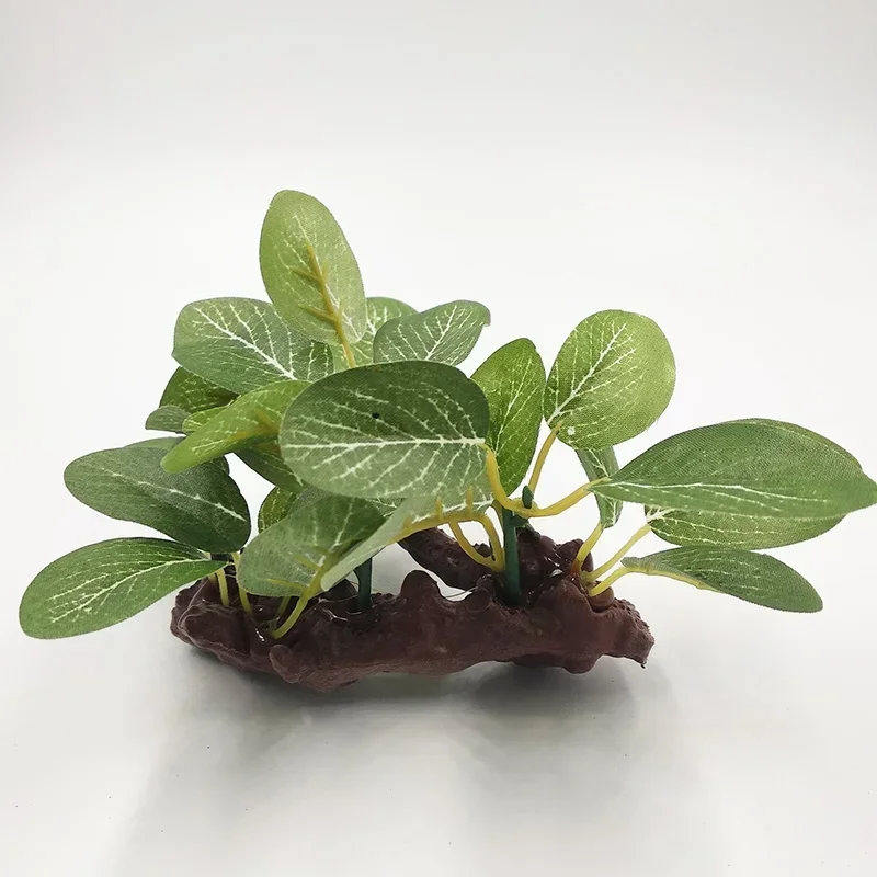 Nowa plastikowa dekoracja rośl – Aquarium Plants Live recenzja i cena