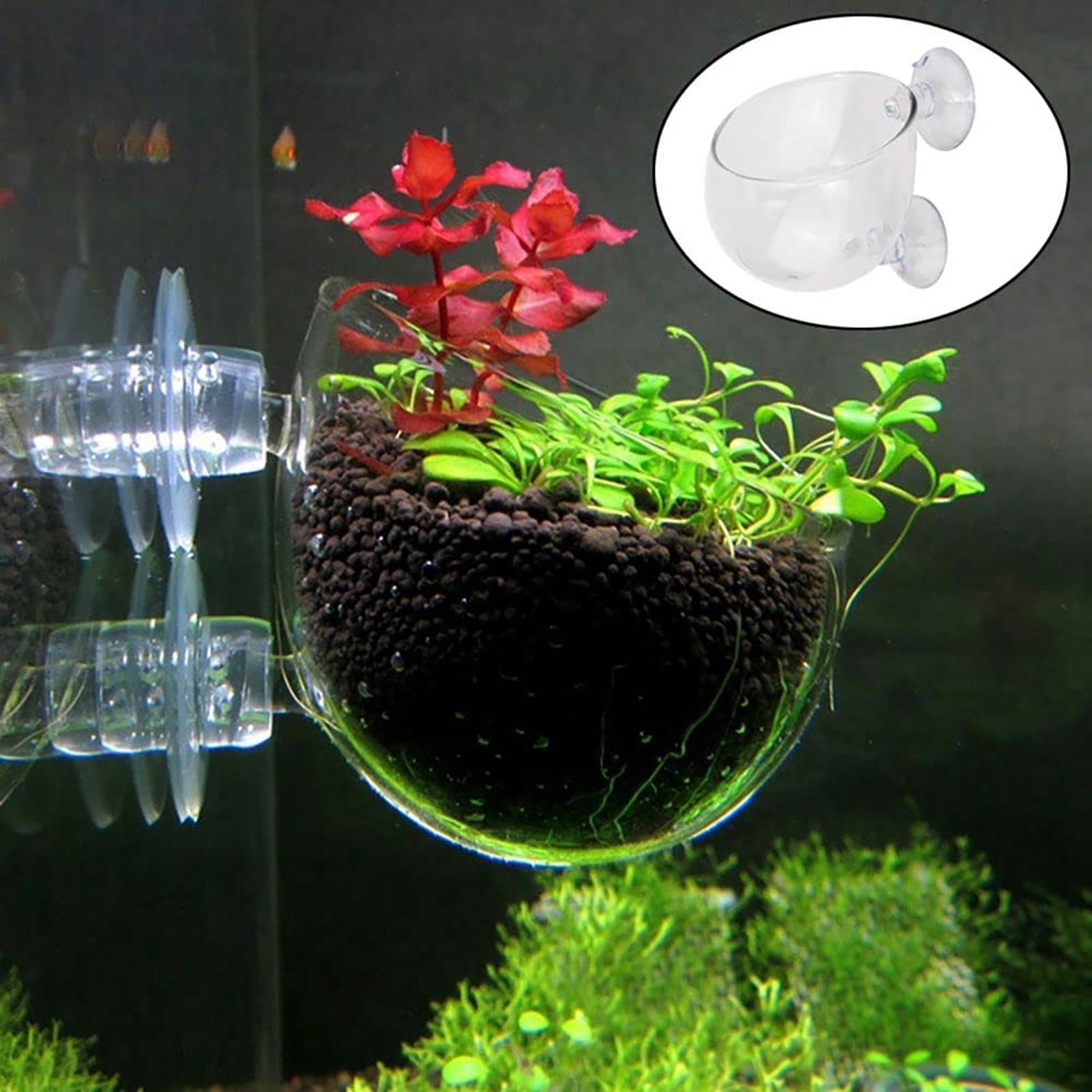 Akrylowy doniczka na rośliny d – Plant Aquarium Pot recenzja i cena