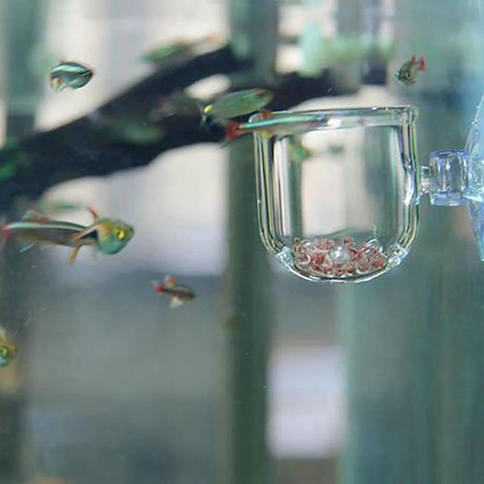 Akrylowy doniczka na rośliny d – Plant Aquarium Pot recenzja i cena