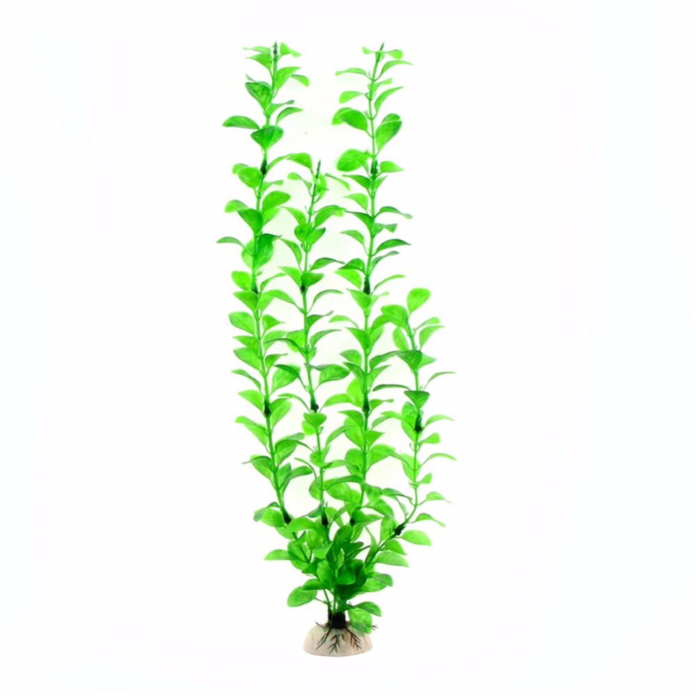 Ozdoba Akcesoria do akwarium s – Live Plant Aquarium recenzja i cena