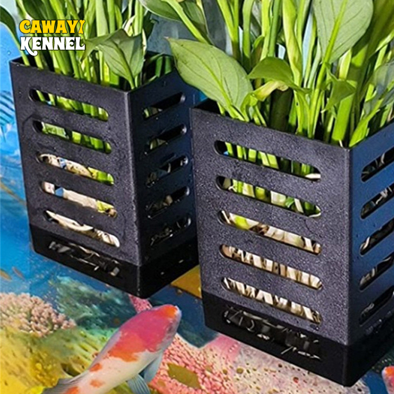 Rybka domowa zbiornik dekoracj – Aquarium Plants Live recenzja i cena
