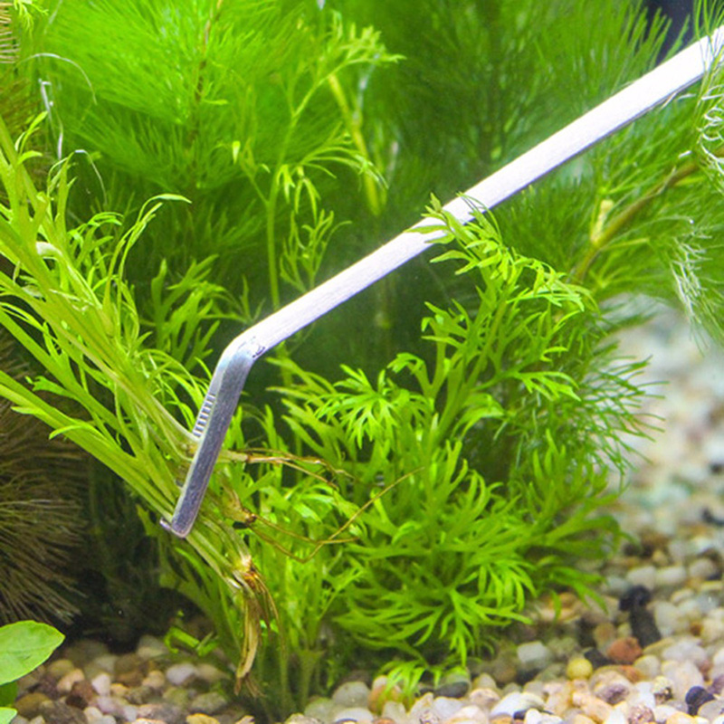 Profesjonalny zestaw narzędzi  – Aquarium Plants Live recenzja i cena