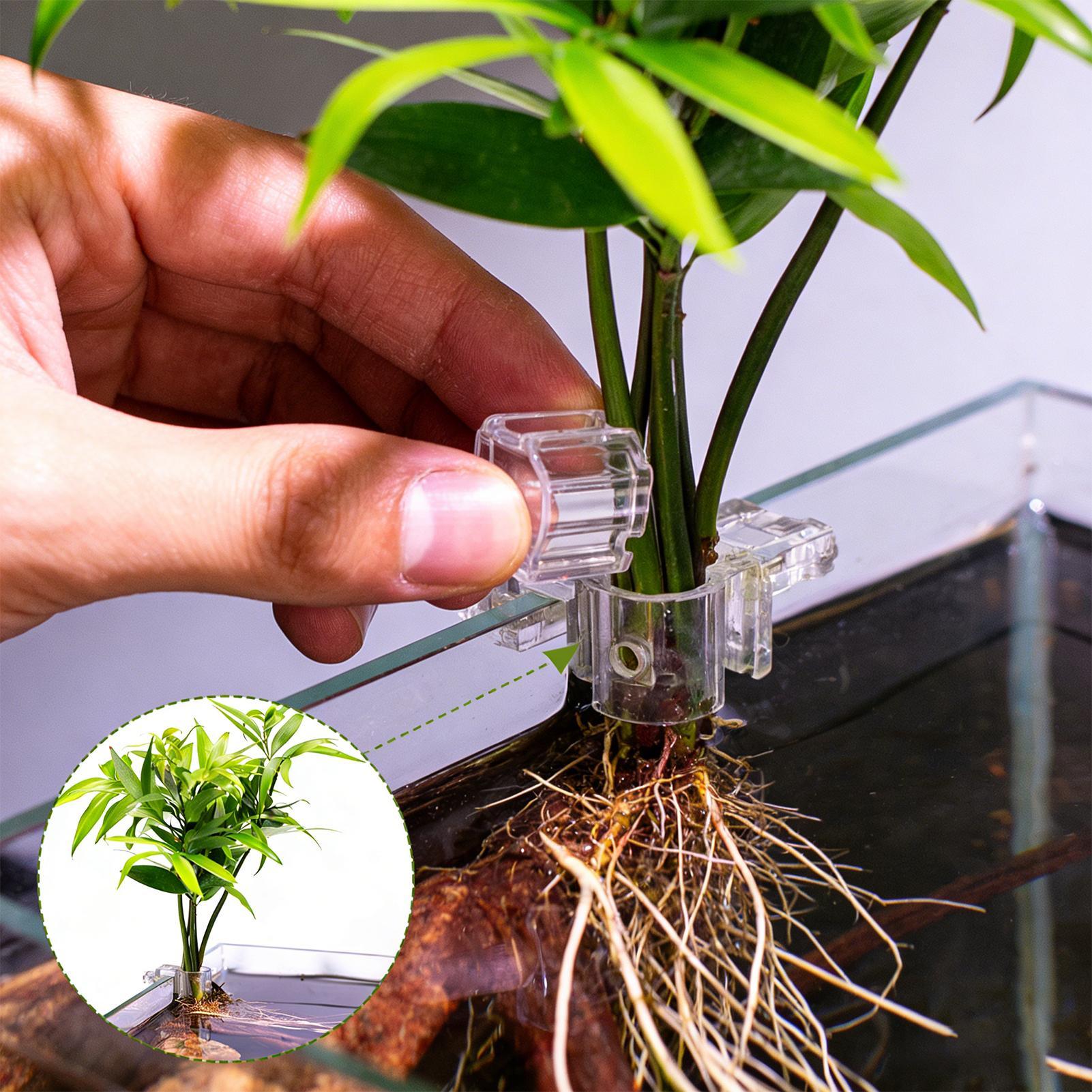 6 szt. Przezroczyste uchwyty d – Aquarium Plant Holder recenzja i cena