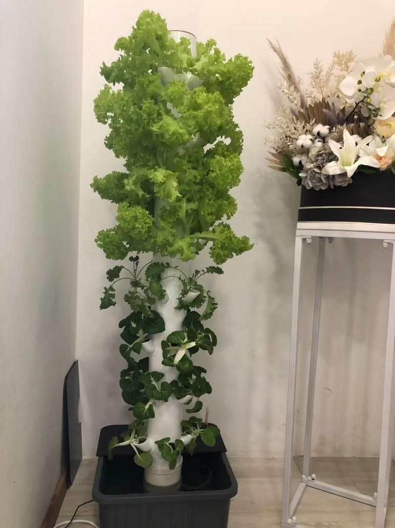 Wieża do hydroponiki pionowej, – Planted Tank recenzja i cena