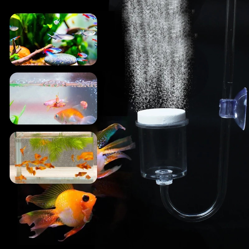 4szt Zestaw DIY Dyfuzor CO2 do – Aquarium Liquid Carbon recenzja i cena