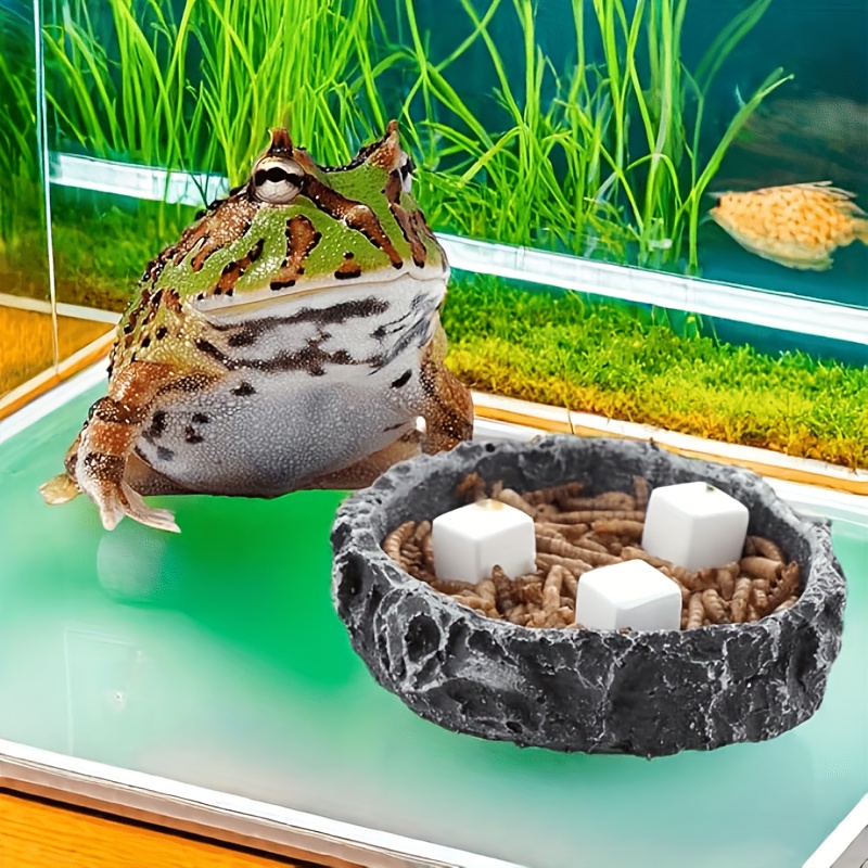 6 szt. bloków wapniowych do ak – Aquarium Plants Live recenzja i cena